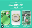 XIHU - TÉ VERDE CON CALABAZA BLANCA 160G