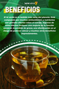 XIHU TE VERDE LONGJING EN SOBRE 2g*10G x UNIDAD