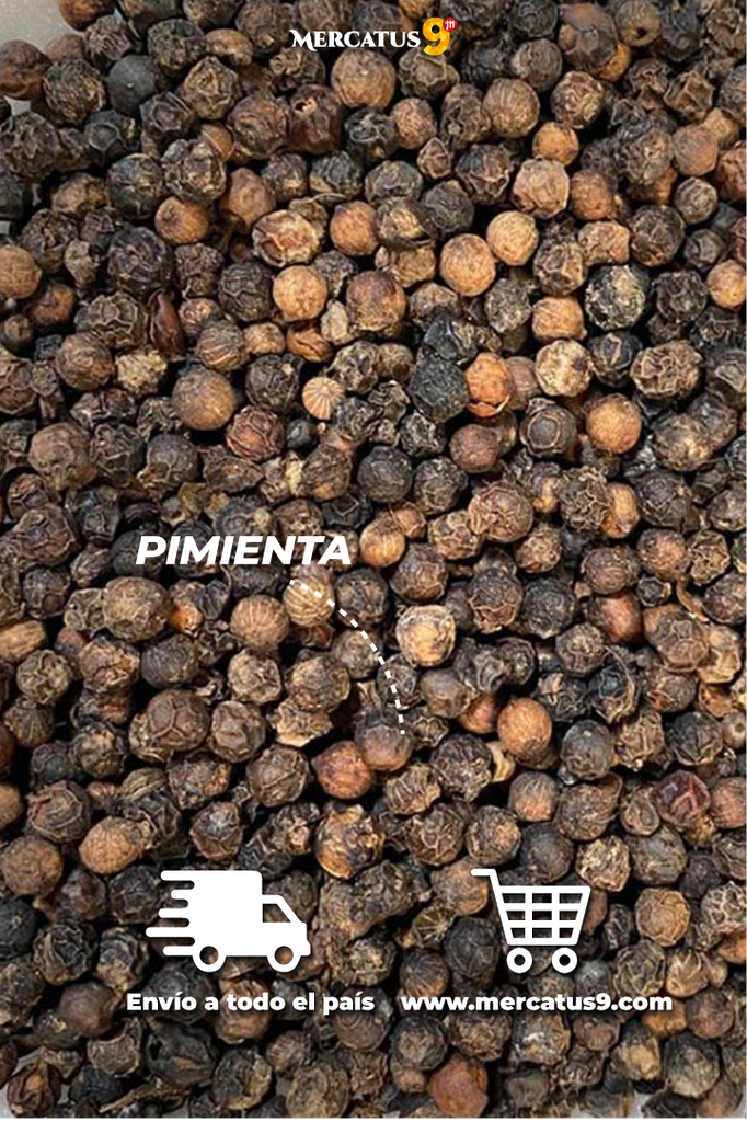 BAIWEIZHAI - PIMIENTA NEGRO 30G