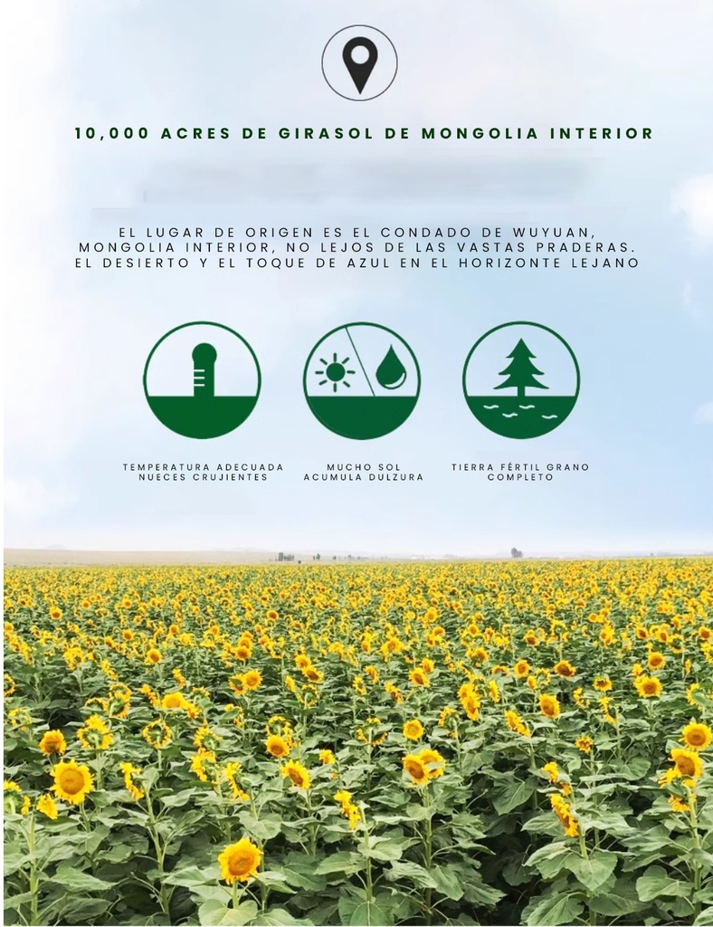 LJK SEMILLA DE GIRASOL ESPECIAS 160G