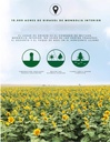 LJK SEMILLA DE GIRASOL ESPECIAS 160G