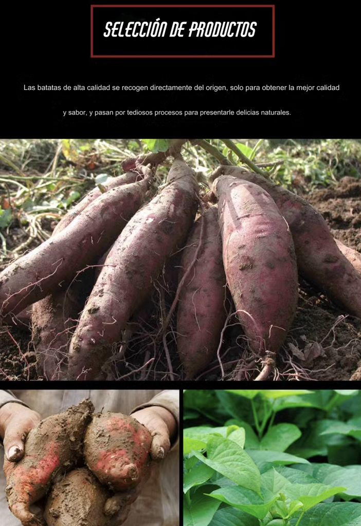 LZF FIDEO DE BATATA 500G