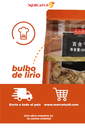 DASHANHE BULBO DE LIRIO DESHIDRATADO 400G