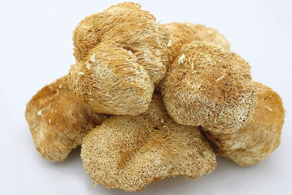 DSH HONGO MELENA DE LEON 250G