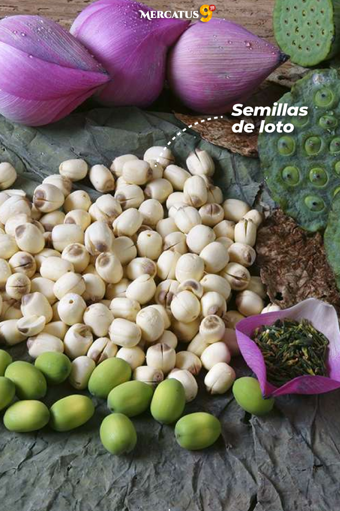 DSH SEMILLAS DE LOTO DESHIDRATADAS 500G