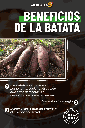 LZF FIDEO DE BATATA ANCHO 260G