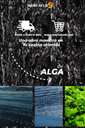 JINHAILIN - ALGAS NORI 50G
