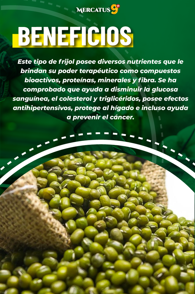 FRIJOL MUNGO 50KG