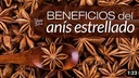 HEIN - ANÍS EN POLVO 10G