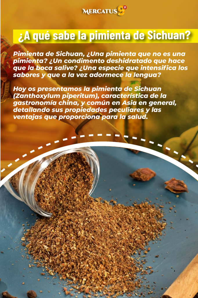 HEIN - PIMIENTA SICHUAN EN POLVO 10G