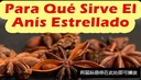 HEIN- ANIS ESTRELLADO 500G