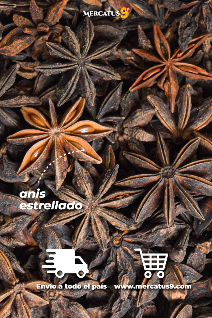 HEIN- ANIS ESTRELLADO 500G