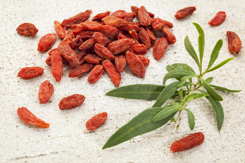 HOJA DE GOJI BERRY