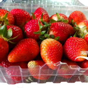 草莓 1K