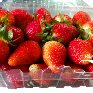 FRESA JUMBO 1K