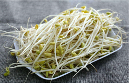 [A9CO-DS100] DS - BROTE DE SOYA 1KG