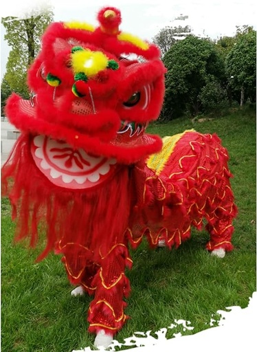 [B5CN-TA91-3] TA91-3 LION DANCE