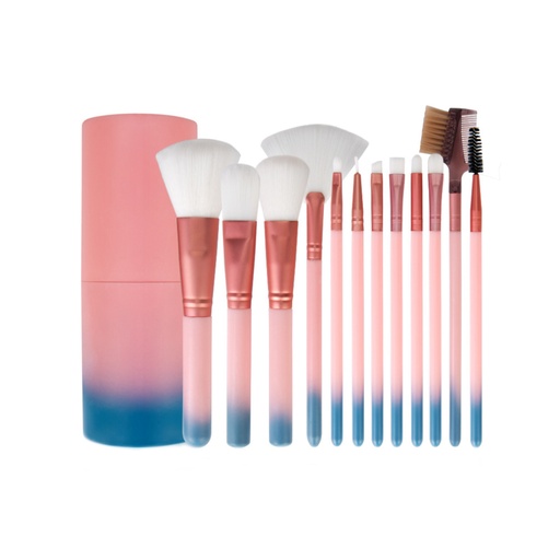 [MBRO3] SET DE BROCHAS BLUE ROSE X12