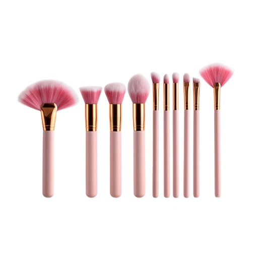 [MBRO6] SET DE BROCHAS ROSE BROSSE X10