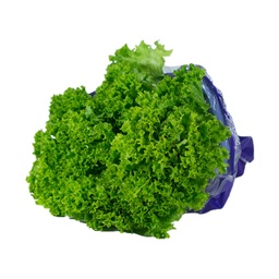 [AFCO-INF1175] LECHUGA CRESPA VERDE